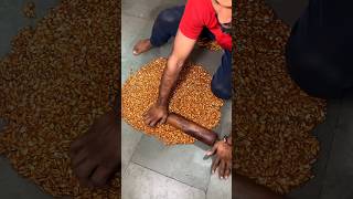 Unhygienic mungfali chikki 🤮 shorts ytshorts viralshorts foodmaker making mungfali [upl. by Isoj757]