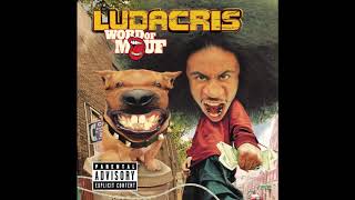 Ludacris  Roll Out My Business [upl. by Laval470]