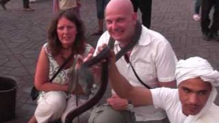 Djemaa el Fna Marrakech Morocco  Snake Charmer July 2010 [upl. by Zweig82]