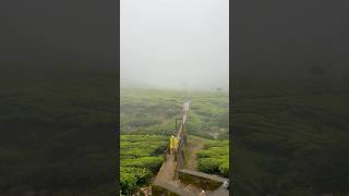 Munnar best filim spot3days trip🛵part 2 [upl. by Hyacinth]