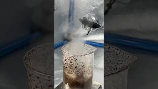 Full H2O2 KMnO4 Reaction chemistry hydrogenperoxide potassiumpermanganate experiment [upl. by Monafo]