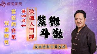 鲲侯紫微斗数快速入门课，第四节：宫位的宫星双重特性。 八字教学｜八字教程｜八字入门｜八字学习｜八字基础｜周易教学｜周易教程｜玄学教学｜风水教学【 鲲侯命理八字教学】 [upl. by Essej]