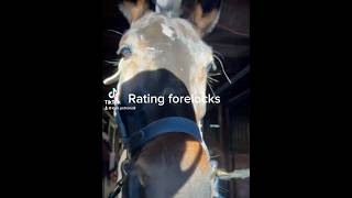 Rating forelocks 🐴🍓 [upl. by Durer]