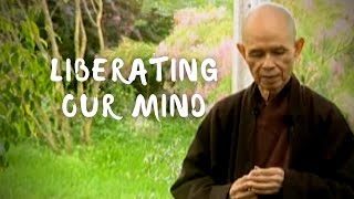 Liberating Our Mind Untying Knots the Ten Fetters  Thich Nhat Hanh short teaching video [upl. by Det]