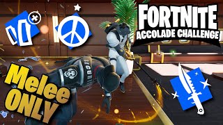 Im The Support Teammate  Fortnite The Accolade Challenge [upl. by Base]