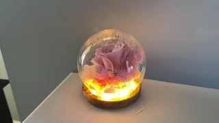 Preserved Flowers in Glass Dome with LED Light [upl. by Nnylorac]