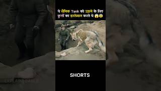 This is how soldiers used dogs in war shorts shortvideo [upl. by Tak889]