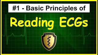 ECGEKG Interpretation Tutorial  Episode 1  Basic Principles [upl. by Diogenes]