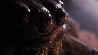 Arachnophobia Full Movie Facts amp Review in English  Jeff Daniels  Julian Sands [upl. by Morice980]