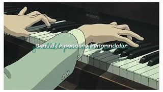 unplayed piano  damien rice  türkçe çeviri [upl. by Ahsemad486]