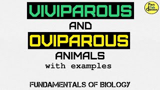 Viviparous amp Oviparous Animals [upl. by Hayward]