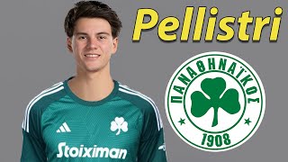 Facundo Pellistri ● Welcome to Panathinaikos 🟢🇺🇾 Best Skills Goals amp Assists [upl. by Zednanref]