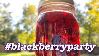 Distilling Blackberry Wine into Brandy [upl. by Nrojb]