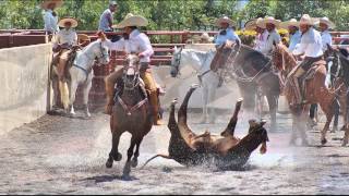 Chava Belmontes quot JOVEN RANCHERO quot  PROMO 2014 [upl. by Amerigo]