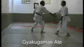 ANTWERP TOMIKI AIKIDO  quotTanto Ju Nana Honquot [upl. by Oxley862]