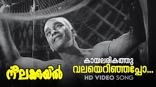 Kaayalarikathu Valayerinjappo  HD Video Song  KRaghavan  PBhaskaran  Neelakuyil1954 [upl. by Moule]