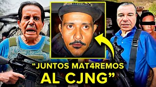 El Chapo Y El Mayo JUNTAN FUERZAS Para DESTRUIR AL CJNG [upl. by Eltsyrhc]