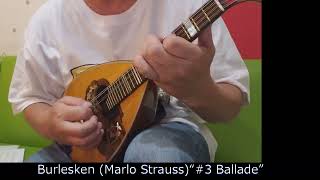 【Mandolin】Burlesken Marlo Strauss “4 Spanischer Tanz” [upl. by Nolrah629]