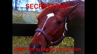 SECRETARIAT THE most famous Racehorse in History [upl. by Eilyah75]