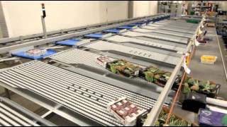 Optimus Sorter Technology  Sorter for Food and nonFood products  OptiSorter [upl. by Eudocia]