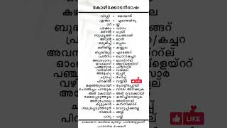 Kozhikkodan Slang wordsIKozhikodan Accent Kozhikodan dictionary shorts malayalam [upl. by Ovida69]