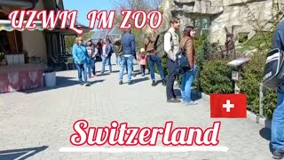 🇨🇭Uzwil TG  Uzwil im Zoo in Switzerland  Spring 4K 2842022 [upl. by Vigen]