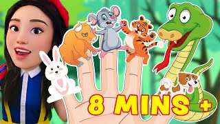 Animals Finger Family  Kids Songs and Nursery Rhymes  DoReMi Kids Songs [upl. by Horacio382]