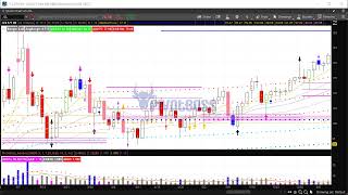 PivotBoss PreMarket Video July 29 2024 Big Week Ahead [upl. by Elizabet]