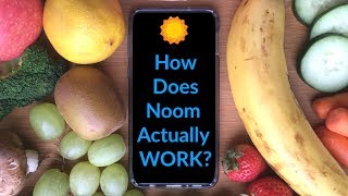 How does Noom Work A behind the scenes look at the Noom app actually works [upl. by Calan]