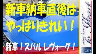 新車納車直後のレヴォーグに磨き＆コーティング！ [upl. by Dud630]