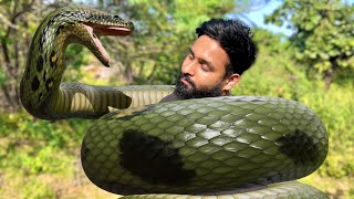 Giant Anaconda Snake Enwind Man amp Swallowed ALIVE   🐍 [upl. by Whitten]