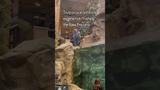 Once in a lifetime experience  “Fishing” the tank at Bass Pro Shops [upl. by Eleira]