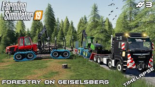 Moving equipment amp cutting down trees  Forestry on Geiselsberg  Farming Simulator 19  Episode 3 [upl. by Tonkin158]