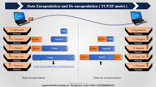 Data Encapsulation and Deencapsulation  TCPIP model  Animation [upl. by Hulton]