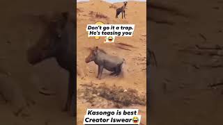 kasongo the best creator😂😂🙏 funny wahala warthog comedy memes automobile warthogdefense [upl. by Ntsuj]