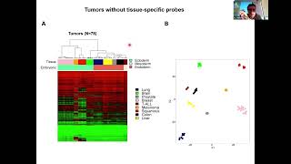 Introduction to Mouse DNA Methylation Microarrays – Manel Esteller [upl. by Quillon829]