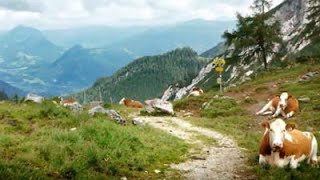 Wandern am Achensee 2012  1 [upl. by Betteanne474]