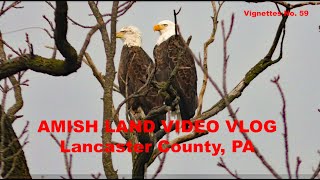 OUT and ABOUT in Lancaster Countys Amish Land at Christmas TimeVideo Vignettes No 58 [upl. by Leonelle]