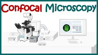 Confocal microscopy  What is the difference between confocal and fluorescence microscopy [upl. by Wallache336]