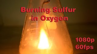 Burning Sulfur in Oxygen [upl. by Drarehs]