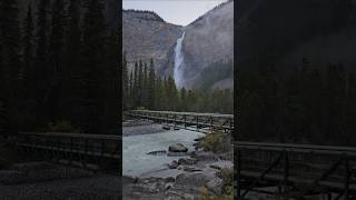 Early morning views in Yoho National Park nature hiking shorts [upl. by Eilak]