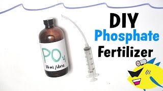 How To Make DIY Aquarium Plant Fertilizer Phosphate [upl. by Aneda]