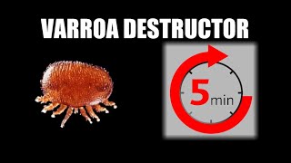 Le Varroa en 5 min  non cest en 13 min mais ça passe crème [upl. by Nnylirret]