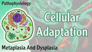 Pathophysiology  Cellular Adaptation  Metaplasia Dysplasia  Hani Laith شرح [upl. by Ringsmuth491]