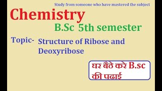 Structure of Ribose and Deoxyribose  BSc 5th semester [upl. by Tutt]