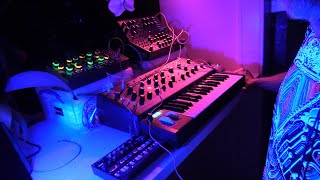 random techno 296 Moog Mother32 DFAM Subharmonicon Grandmother Volca Kick [upl. by Nomis691]