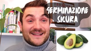 COME PIANTARE IL SEME DI AVOCADO  METODO INFALLIBILE [upl. by Aynot]