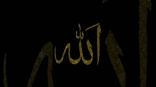 Video Allah Hu Akbar please please surprise allahhuallah love islamicchant murshid [upl. by Serrell]