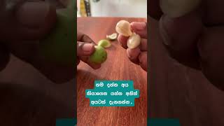 fyp trending virulshorts virulvideo trendingshorts trendingvideo fruits fruit srilanka [upl. by Ellenrad912]