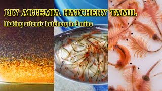 🐠 ARTIMIA HATCHERY IN 3 MINS 🐠 DIY ARTIMIA HATCHERY TAMIL  SIMPLE ARTIMIA HATCHERY MAKING tamil [upl. by Dietrich]